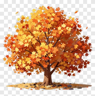 Colorful Autumn Tree PNG