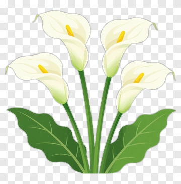 Colorful Calla Lily Bouquet PNG