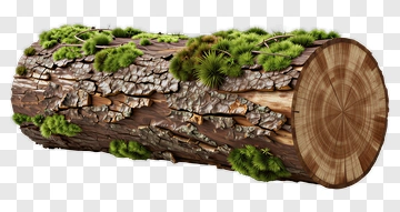 Wooden Log With Moss PNG