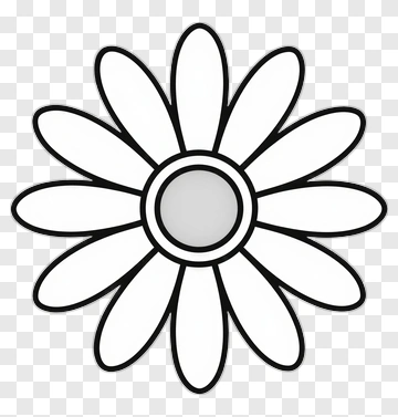 Simple Flower With Petals PNG