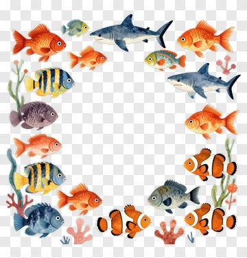 Colorful Fish Frame With Coral PNG