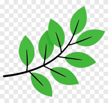 Green Leafy Branch PNG
