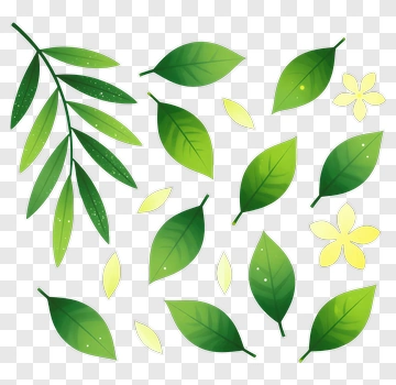 Collection Of Green Leaves And Flowers PNG
