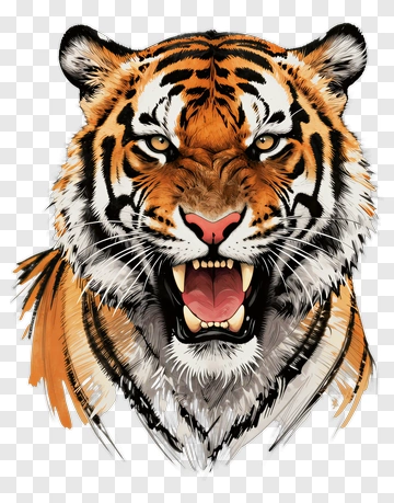 Angry Tiger Head Illustration PNG