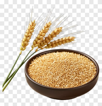 Bowl Of Millet With Wheat Stalks PNG