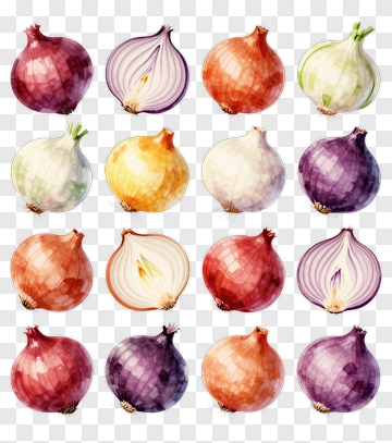 Variety Of Colorful Onions PNG