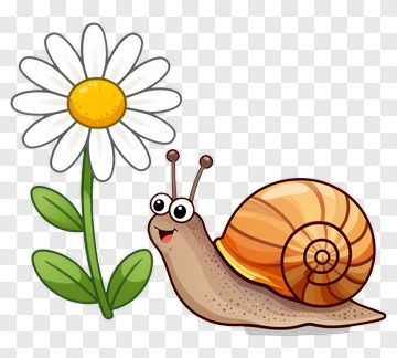 Cartoon Snail Next To A Flower PNG
