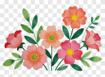 Colorful Flower Bouquet PNG