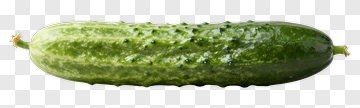 Fresh Cucumber PNG