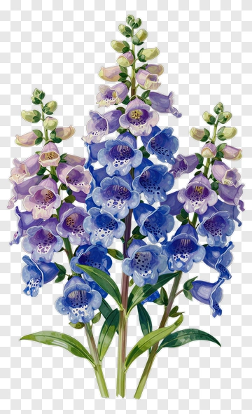 Colorful Flower Bouquet PNG