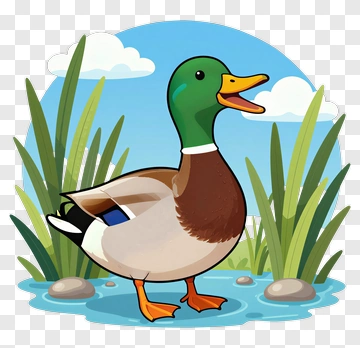 Cartoon Duck Standing In Water PNG