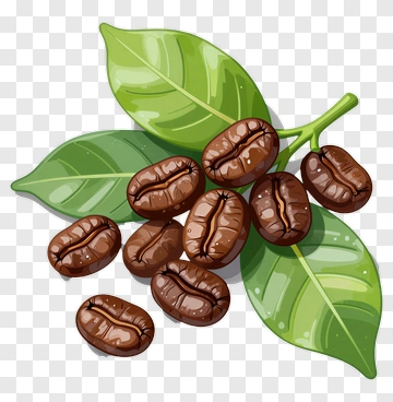 Coffee Beans On Green Leaves PNG