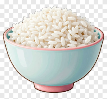 Bowl Of White Rice PNG