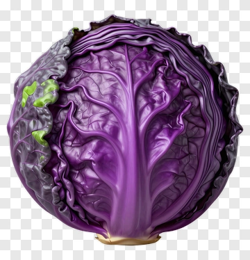Purple Cabbage PNG