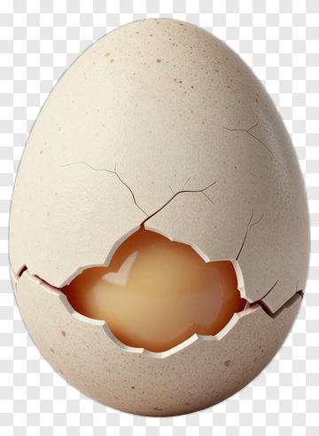 Cracked Egg With Visible Yolk PNG