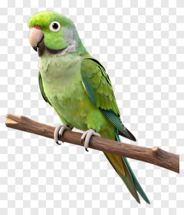 3D Green Parrot Sitting On A Branch PNG