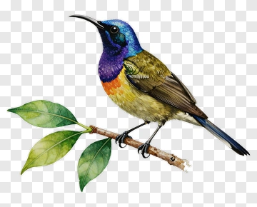 Colorful Bird Perched On A Branch PNG