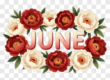 June Floral Arrangement PNG