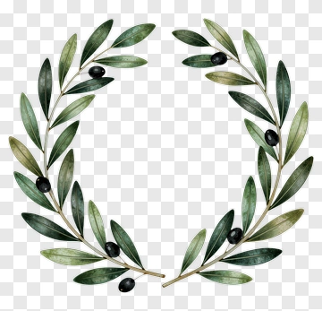 Olive Leaf Wreath PNG