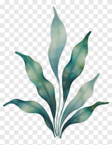 Colorful Plant Leaves PNG
