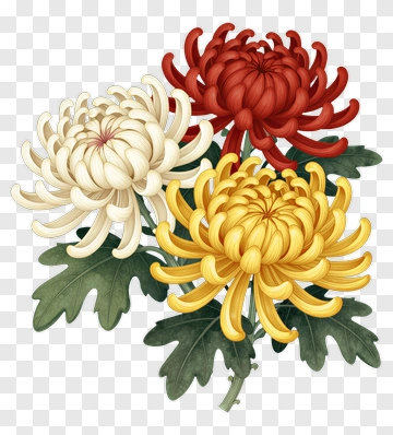 Chrysanthemum Flower Bouquet PNG
