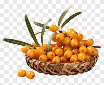 Basket Of Sea Buckthorn Berries PNG