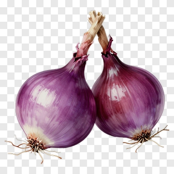 Purple Onions PNG