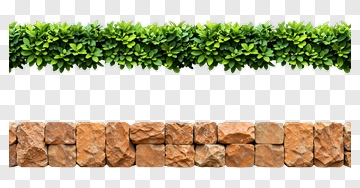 Green Hedge And Stone Wall Border PNG