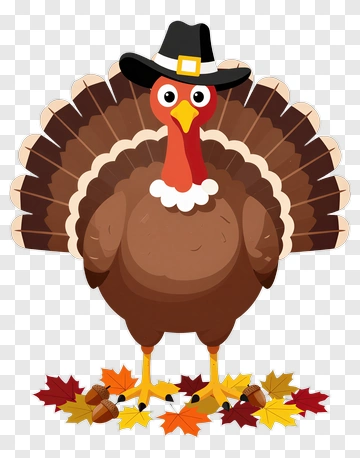 Cartoon Turkey Wearing A Pilgrim Hat PNG
