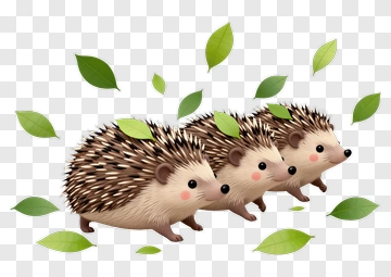 Cartoon Hedgehogs With Leaves PNG
