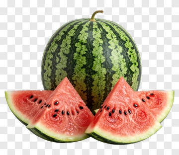 Watermelon Slices And Whole Watermelon PNG