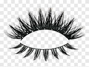 Black Eyelash Strip PNG
