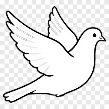 Cartoon White Dove Flying PNG