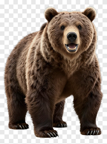 Realistic Brown Bear PNG