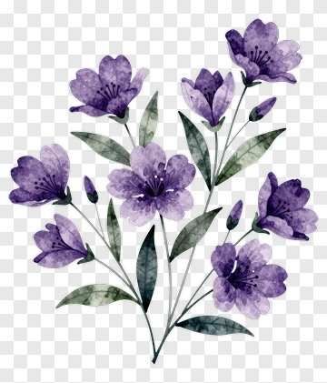 Watercolor Purple Flower Bouquet PNG
