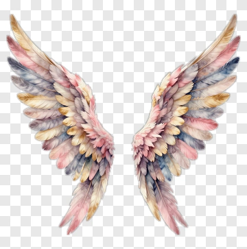 Colorful Angel Wings PNG