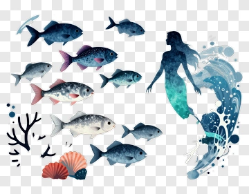 Mermaid Swimming With Colorful Fish PNG