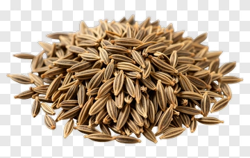 Cumin Seeds Pile PNG