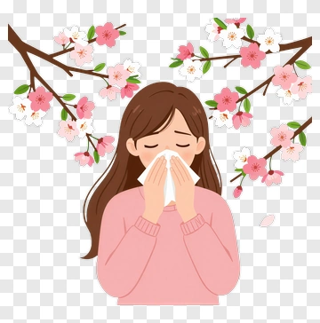 Woman Sneezing In A Flowering Tree Scene PNG