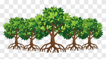 Colorful Tree Group PNG
