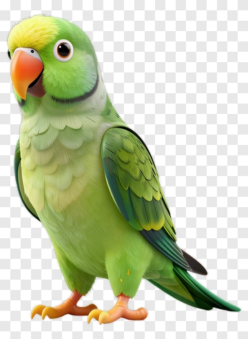 Cartoon Parrot PNG