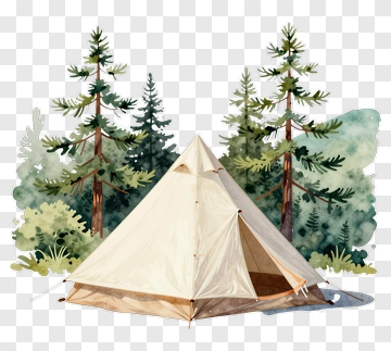 Tent Surrounded By Pine Trees PNG