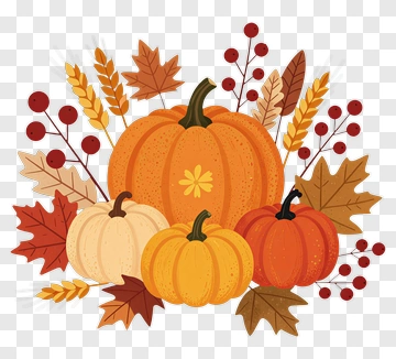 Colorful Pumpkin Arrangement With Autumn Leaves PNG