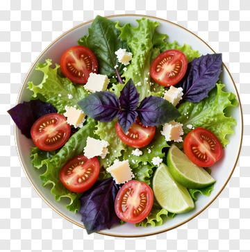 Fresh Salad With Tomatoes And Basil PNG