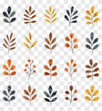 Colorful Leaves Arrangement PNG