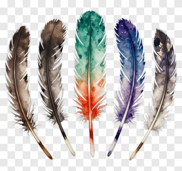 Colorful Watercolor Feathers PNG