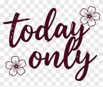 Today Only Text With Flowers PNG