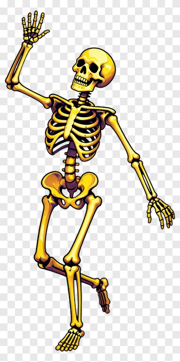 Cartoon Skeleton Waving PNG