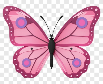 Colorful Butterfly With Pink Wings PNG