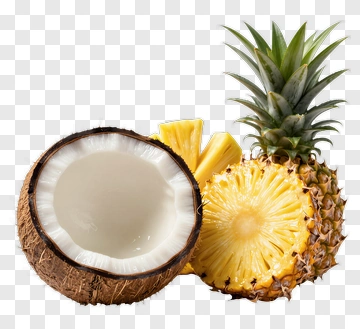 Coconut And Pineapple Composition PNG